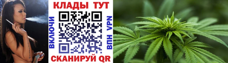 Где продают наркотики Чёрмоз APVP  МЕФ  Псилоцибиновые грибы  Каннабис 