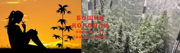 стаф Няндома