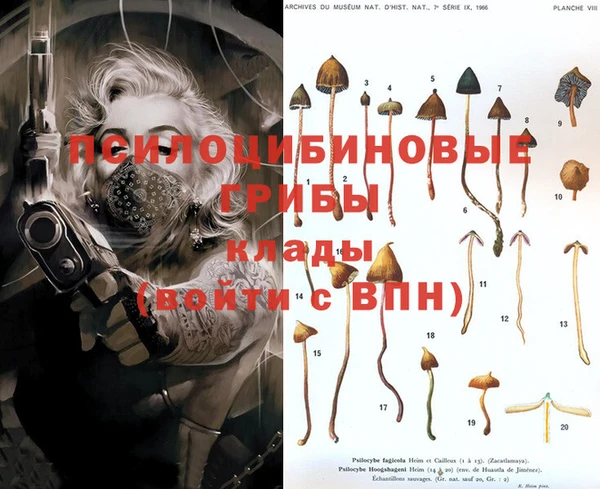 стаф Няндома