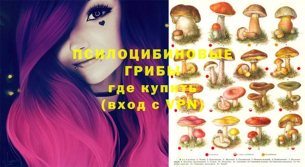 дживик Нязепетровск