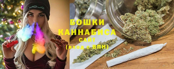 стаф Няндома