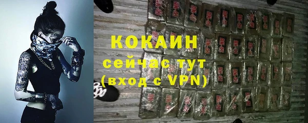 дживик Нязепетровск