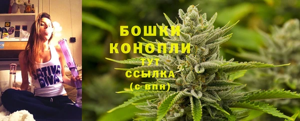 дживик Нязепетровск